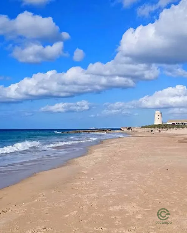 Terreno urbano de 0,27 ha en venta en Vejer de la Frontera, Cádiz