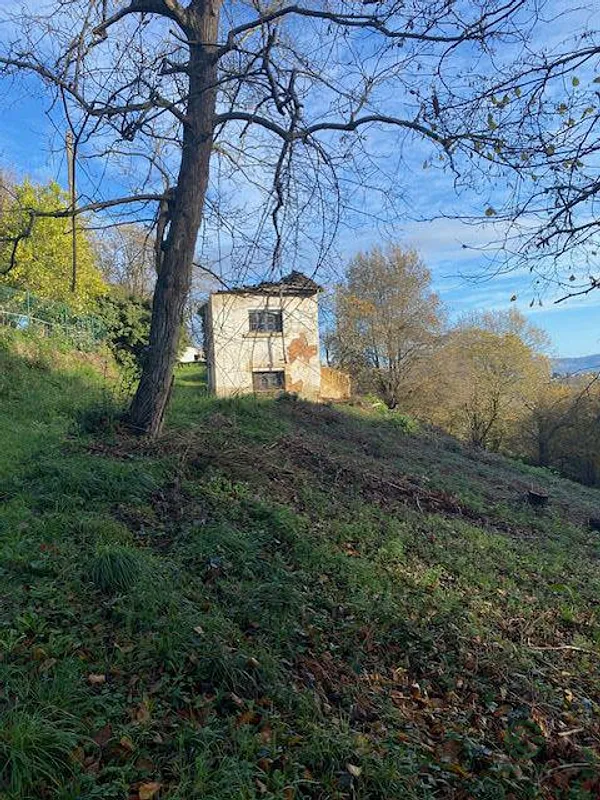 Spot image