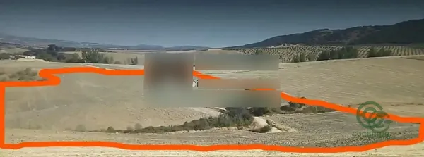 Spot image