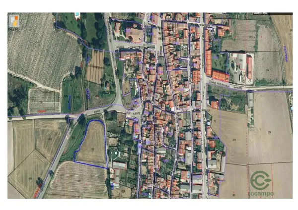 Spot image