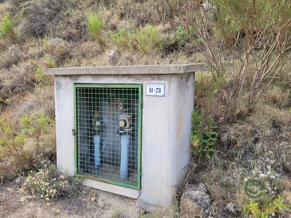 Spot image