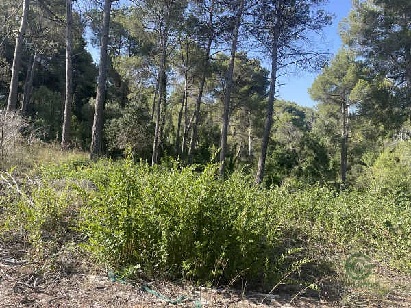 Finca rústica de 0,0941 ha en venta en Corbera de Llobregat, Barcelona