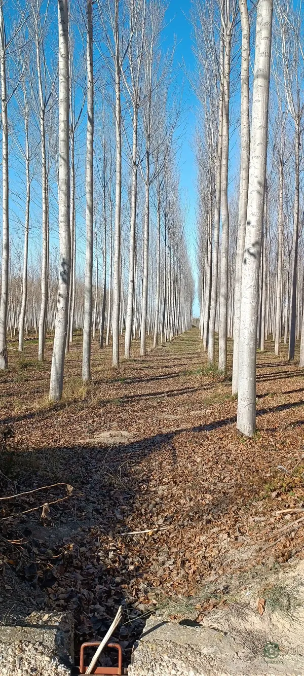 Finca rústica de 80 ha en venta en Zaragoza