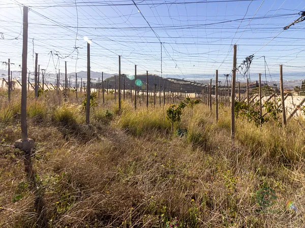 Finca agrícola de 0,5299 ha en venta en Motril, Granada