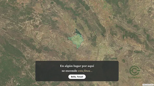 Spot image