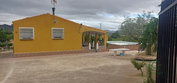 Spot image