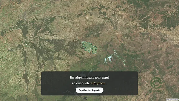 Spot image