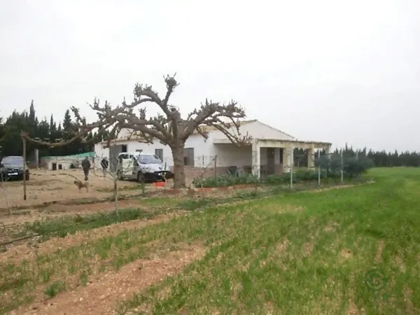 Spot image