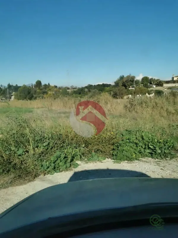 Spot image