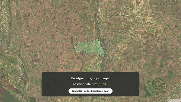 Spot image