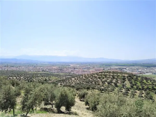 Finca agrícola de 15 ha en venta en Atarfe, Granada