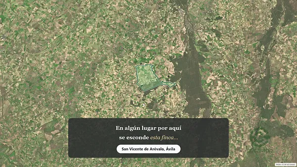 Spot image