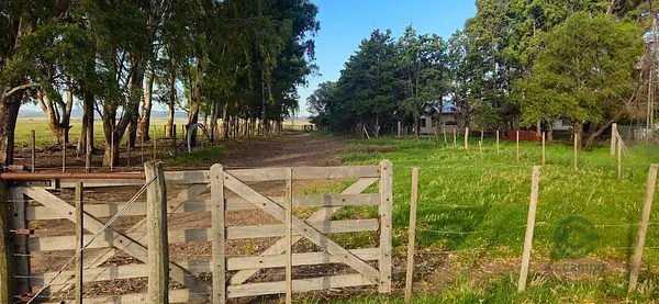 Finca rústica de 190 ha en venta en Buenos aires