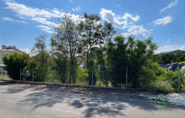 Spot image