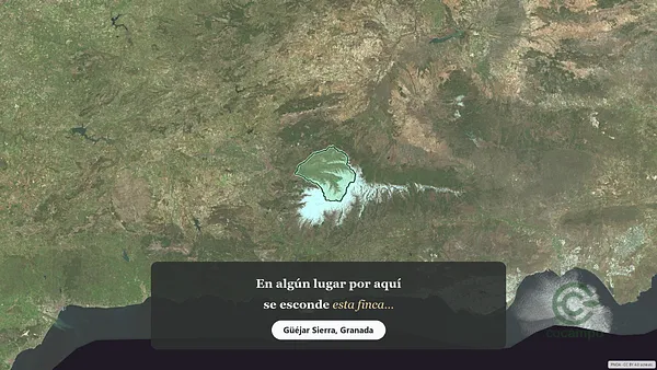 Spot image