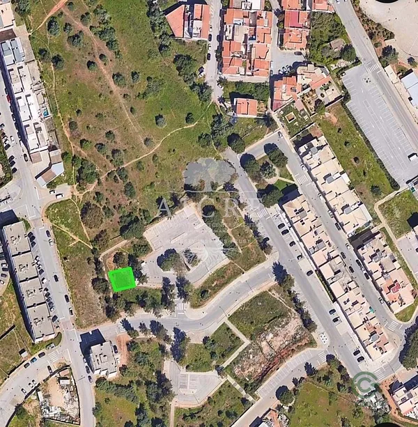 Spot image