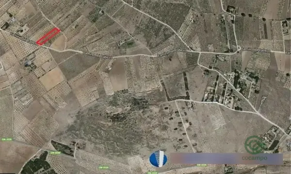 Spot image