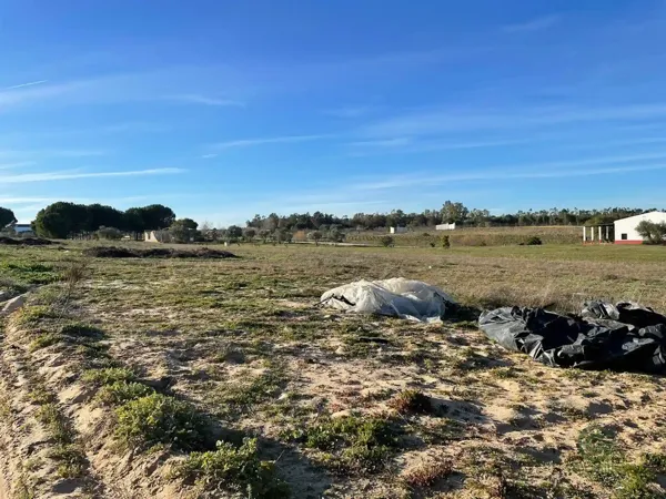 Finca agrícola de 4 ha en venta en Bollullos par del condado, Huelva