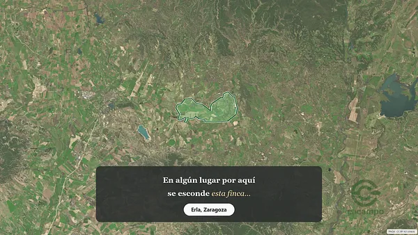 Spot image