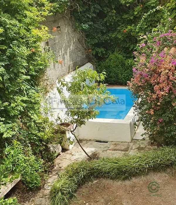 Spot image