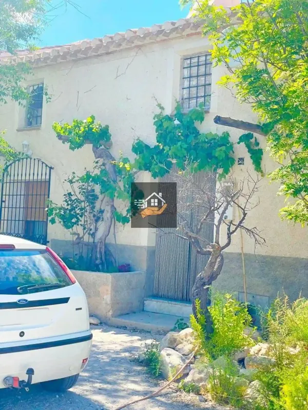 Spot image
