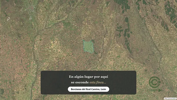 Spot image