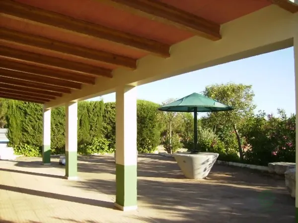 Spot image