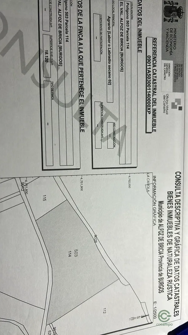 Spot image
