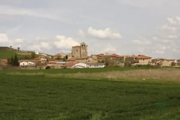 Spot image