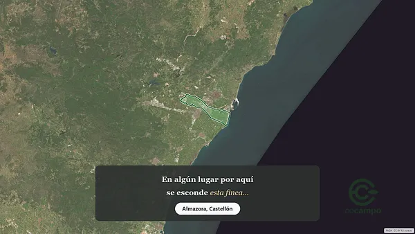 Spot image
