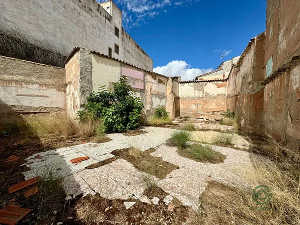 Spot image