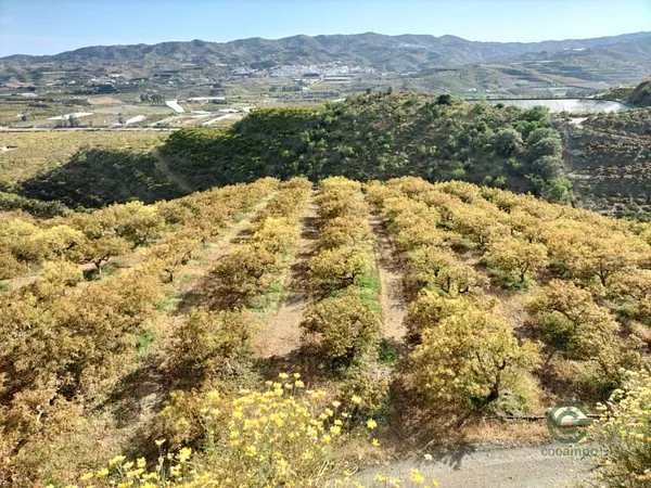 Finca agrícola de 8,5 ha en venta en Málaga