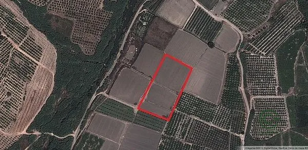 Spot image