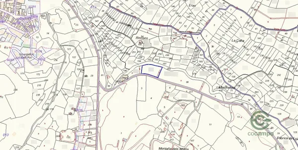 Spot image