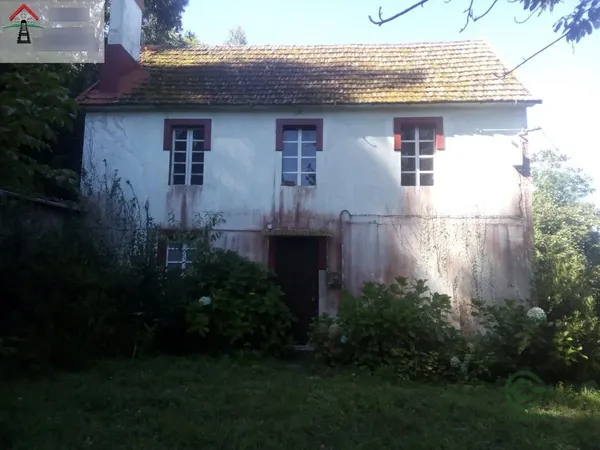 Spot image