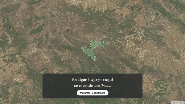 Spot image