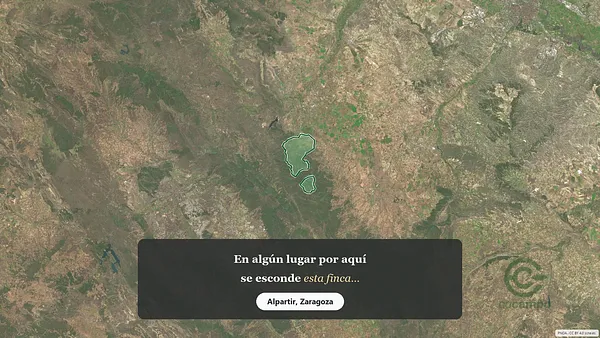 Spot image