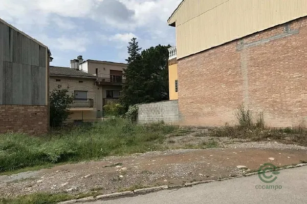 Spot image