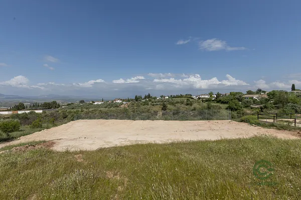 Spot image