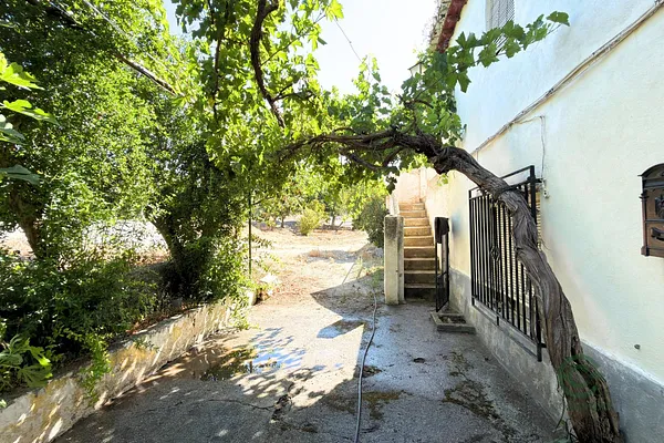 Spot image