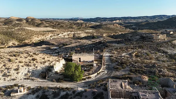 Spot image