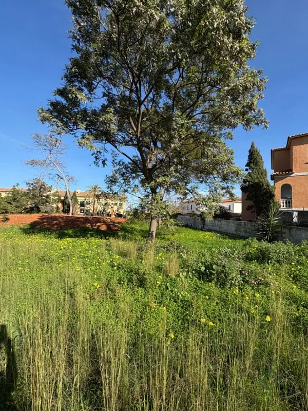 Spot image