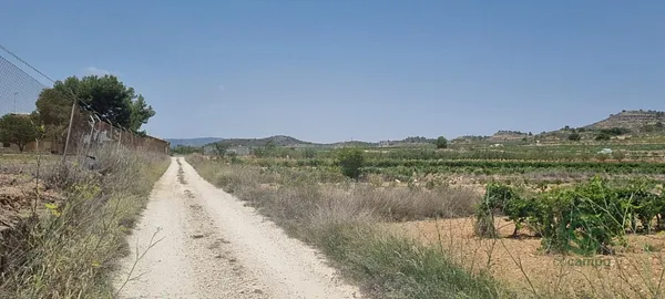 Spot image