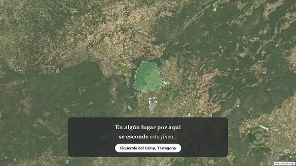 Spot image