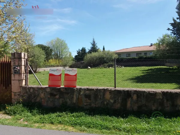 Spot image