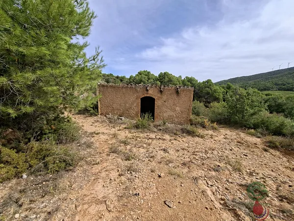 Spot image
