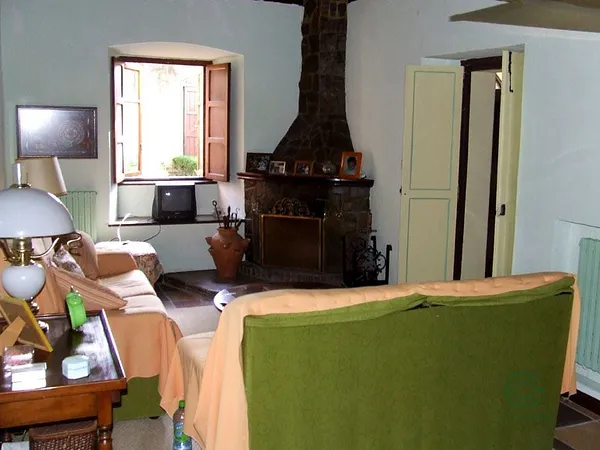 Spot image