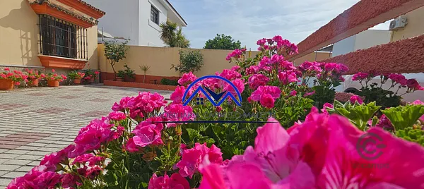 Spot image