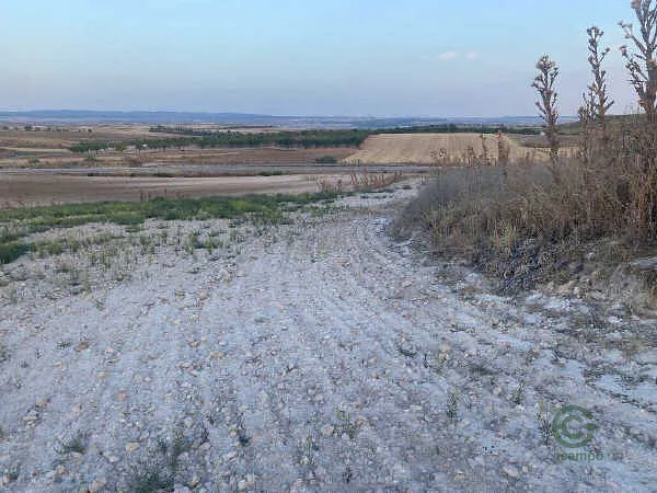 Finca rústica de 0,54 ha en venta en Driebes, Guadalajara