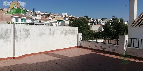Spot image